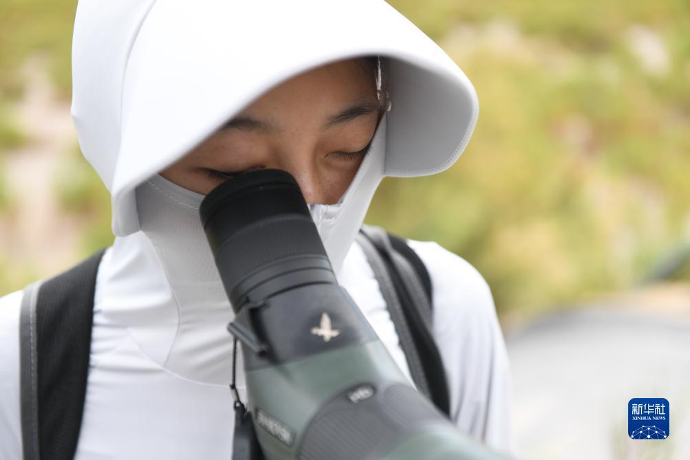 巴黎人真钱ag